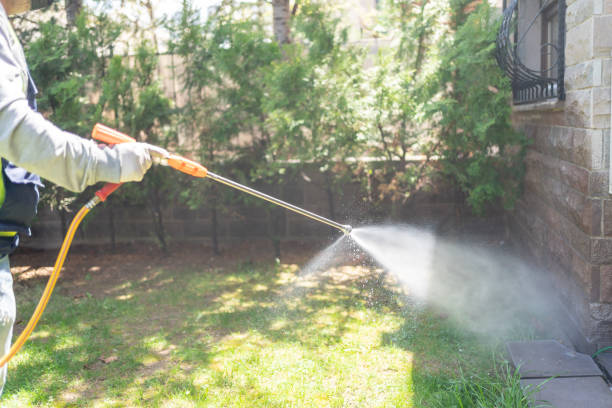 Professional Pest Control in Manasquan, NJ