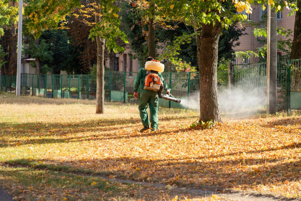 Best Pest Control Treatment  in Manasquan, NJ